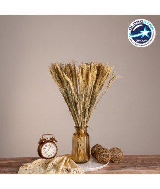 GloboStar® ERICAGRASS 36504 Αποξηραμένο Φυτό Έρρικα - Μπουκέτο Διακοσμητικών Κλαδιών Μπεζ - Πράσινο Υ60cm - Σετ 100 τμχ